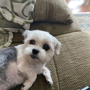 Meet your Posher, Angela